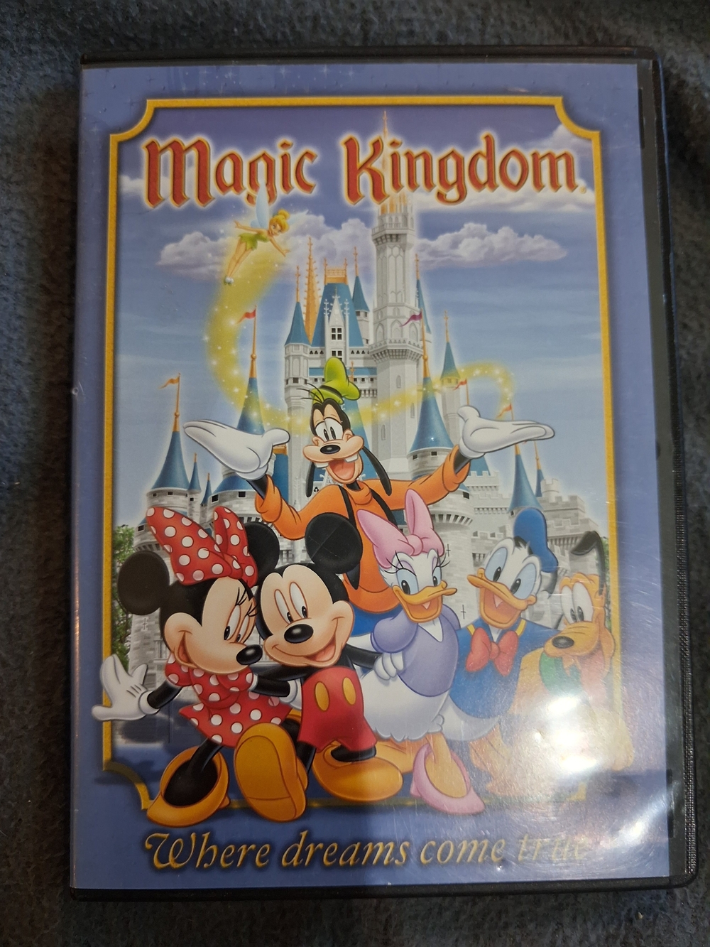 Disney Magic Kingdom DVD
